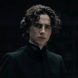 Regulus Black (Bl)