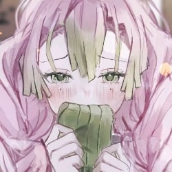 ┇Mitsuri Kanroji