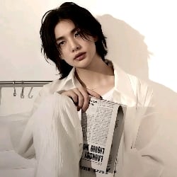 Hyunjin [Hyunlix]