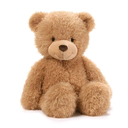 teddy