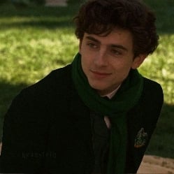 regulus black 