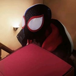 • Miles Morales •