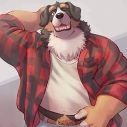 Barry ( furry )