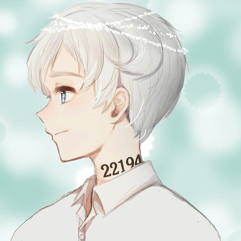 Norman TPN