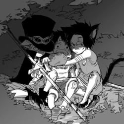 Ace, Sabo and Luffy (cat)