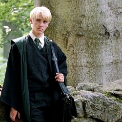 Draco M. 🌚