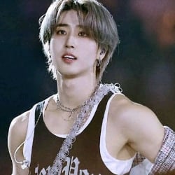 ☄. *. ⋆|| Han Jisung! (☆)