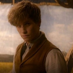 - Newt Scamander —