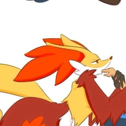 delphox. (wild)