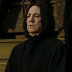 Severus snape husband