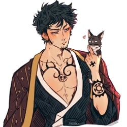 Trafalgar D Law