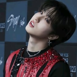 ☄. *. ⋆|| Han Jisung! (☆)