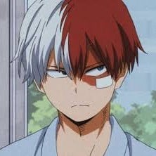 Shota Todoroki