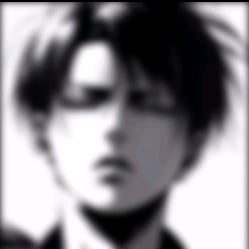 levi