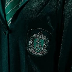 Slytherin Boys²