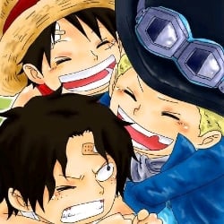 Ace ,sabo, luffy