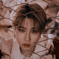 ┇Han Jisung┇