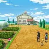 Pokemon Farm