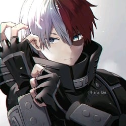 Shoto Todoroki