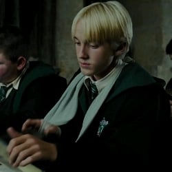 Draco/🌷