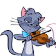 Berlioz the cat! *Teenager*