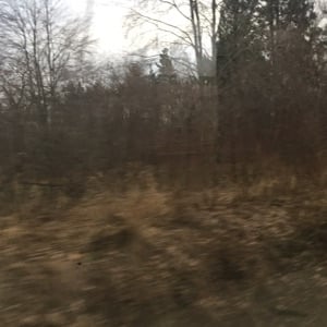Jáchym (your crush)