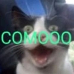 COMOOO