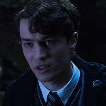 Tom Riddle/🌊