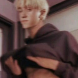 draco🐍