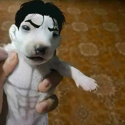 Robert