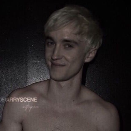 Draco Malfoy bully