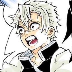 🍃.— Sanemi Shinazugawa