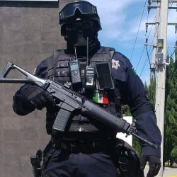 Mexican military🇲🇽