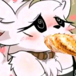 The furro eats bread