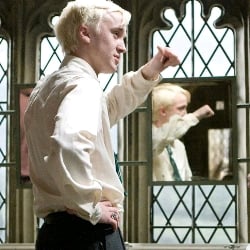 Draco M𝙖𝙡𝙛𝙤𝙮