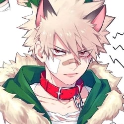 🐺 | Bakugou Wolf