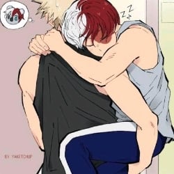 Shoto Todoroki (*T^T)