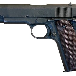 Gun
