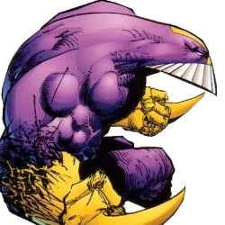 The Maxx