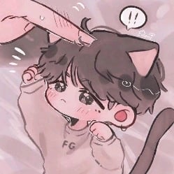 Kitten