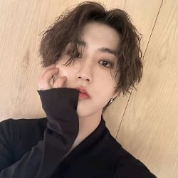 ✦ ࣪🖇️ 𓄼𓈒๋! , Han Jisung! ()