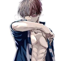 Shoto Todoroki