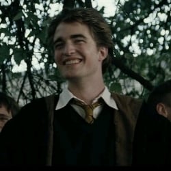 cedric Diggory [F3AL3Y 100 energy]