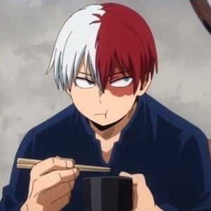 Shoto Todoroki 🔥❄️(HIGH SCHOOL + MARRIAGE)