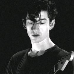 Alex turner ,
