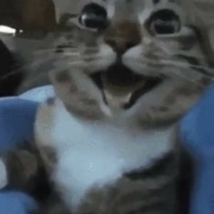 Who