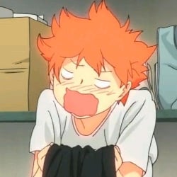 Shoyo Hinata