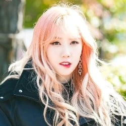 Handong