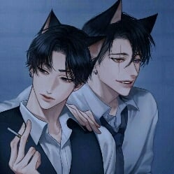 Your Cats