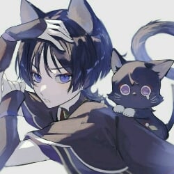 Scarameow